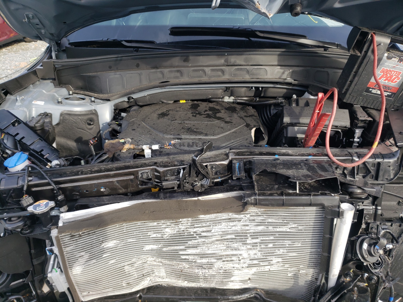 Photo 7 from auction – 2021 KIA TELLURIDE with VIN 5XYP5DHC5MG189752