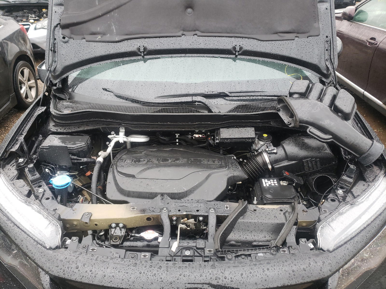 Photo 7 from auction – 2020 HONDA PASSPORT E with VIN 5FNYF8H50LB020898
