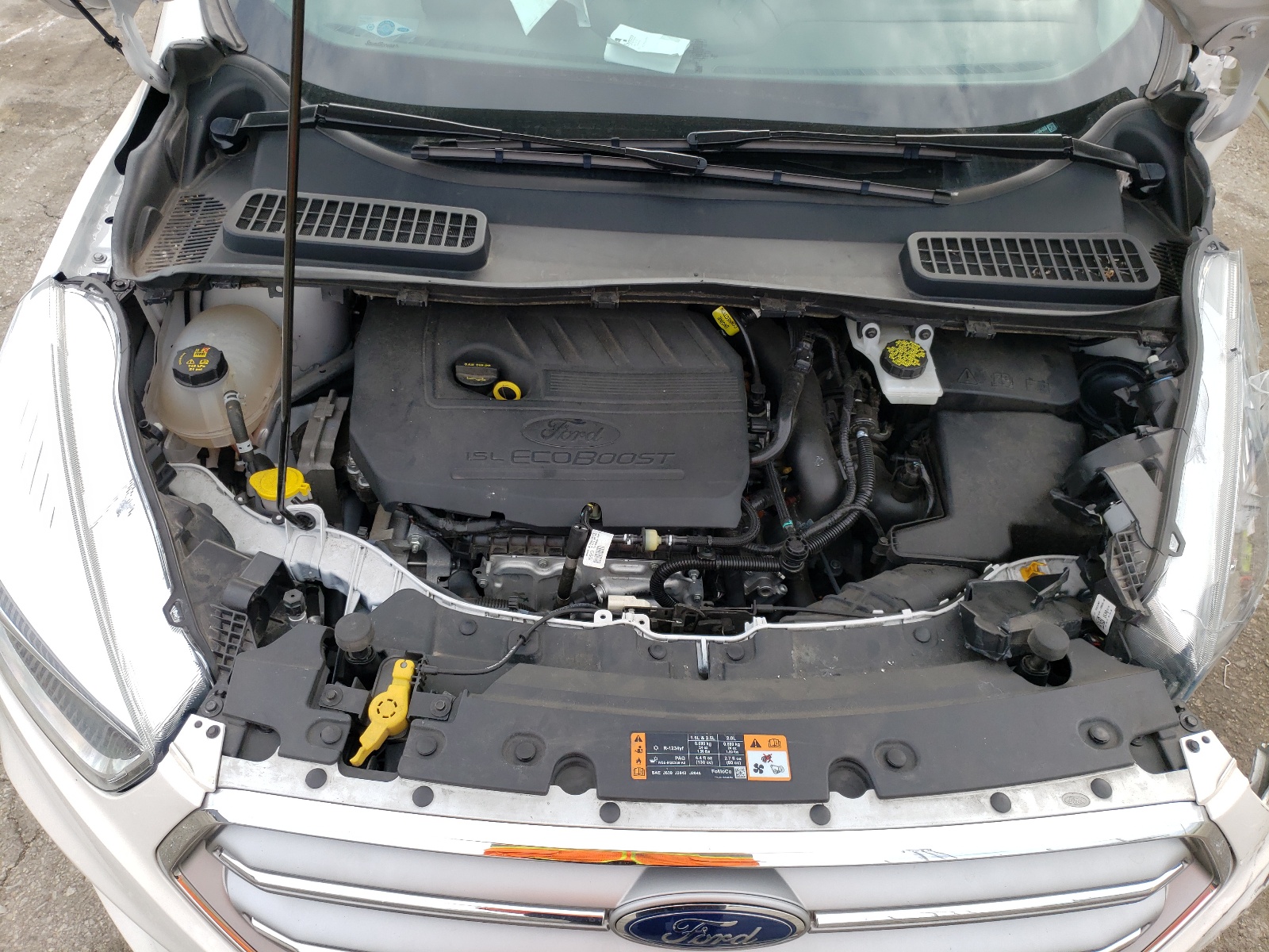 Photo 7 from auction – 2017 FORD ESCAPE SE with VIN 1FMCU0GDXHUD36488