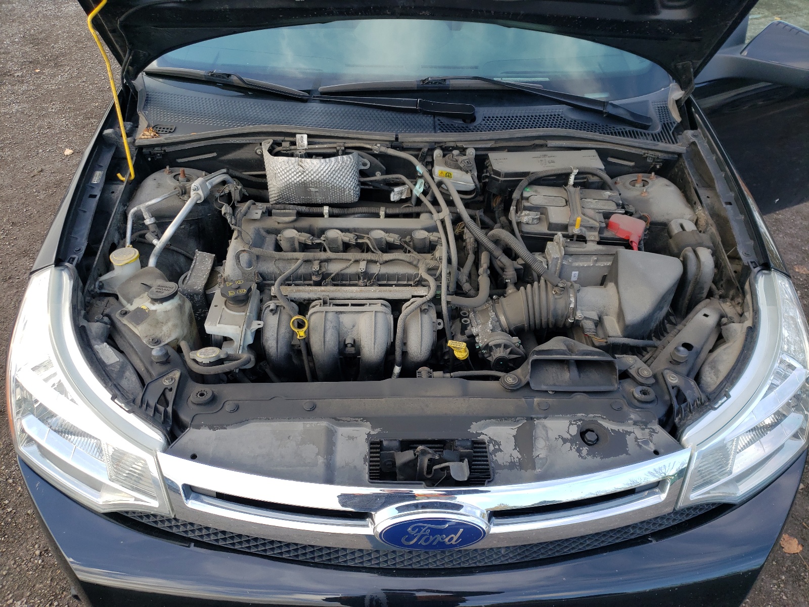 Photo 7 from auction – 2009 FORD FOCUS SES with VIN 1FAHP36N79W181584