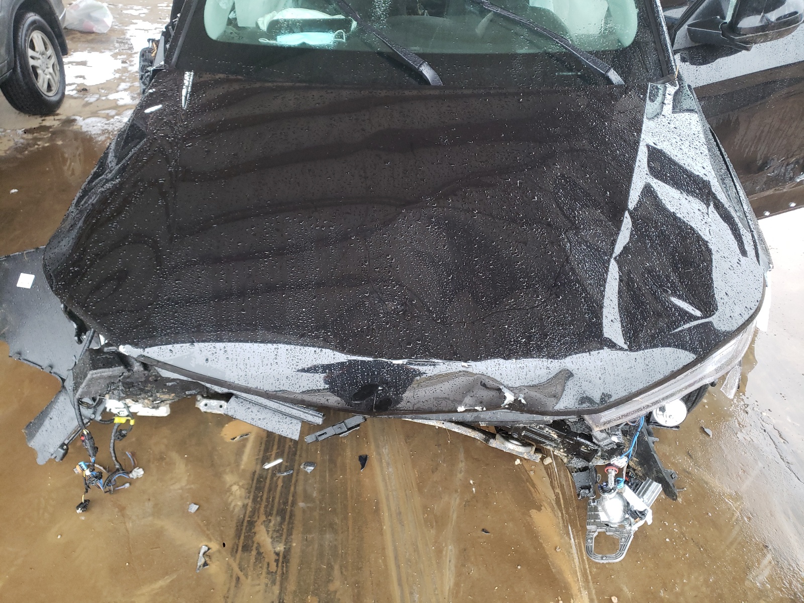 Photo 7 from auction – 2021 CHEVROLET TRAILBLAZE with VIN KL79MPSLXMB170191
