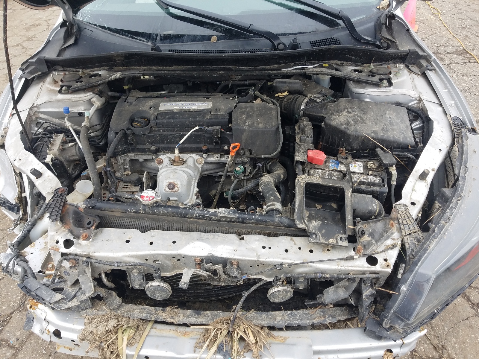 Photo 7 from auction – 2014 HONDA ACCORD EXL with VIN 1HGCR2F84EA220966