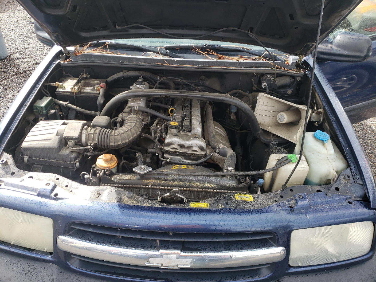 Photo 7 from auction – 2001 CHEVROLET TRACKER with VIN 2CNBJ13C716925431