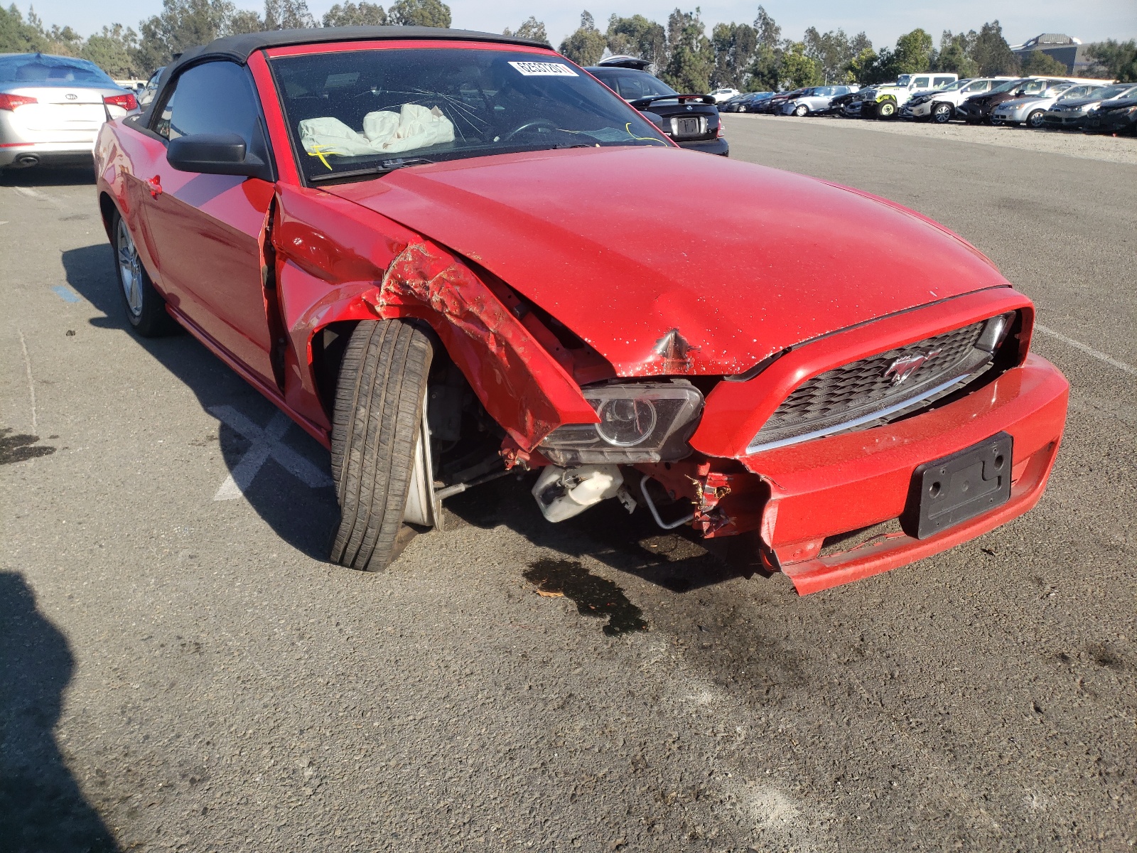 Photo 9 from auction – 2014 FORD MUSTANG with VIN 1ZVBP8EM4E5210624