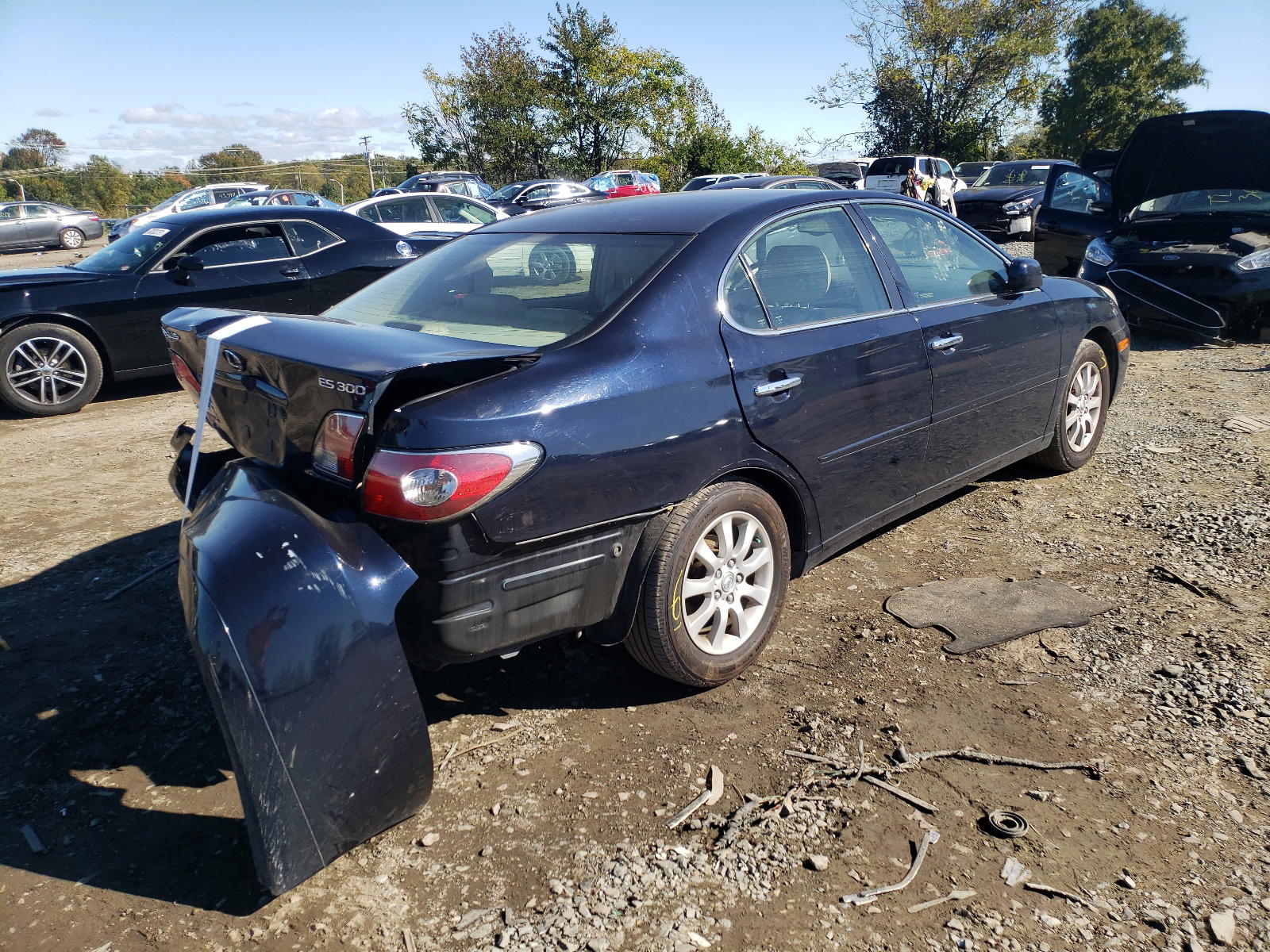 Photo 4 from auction – 2003 LEXUS ES 300 with VIN JTHBF30G535041073