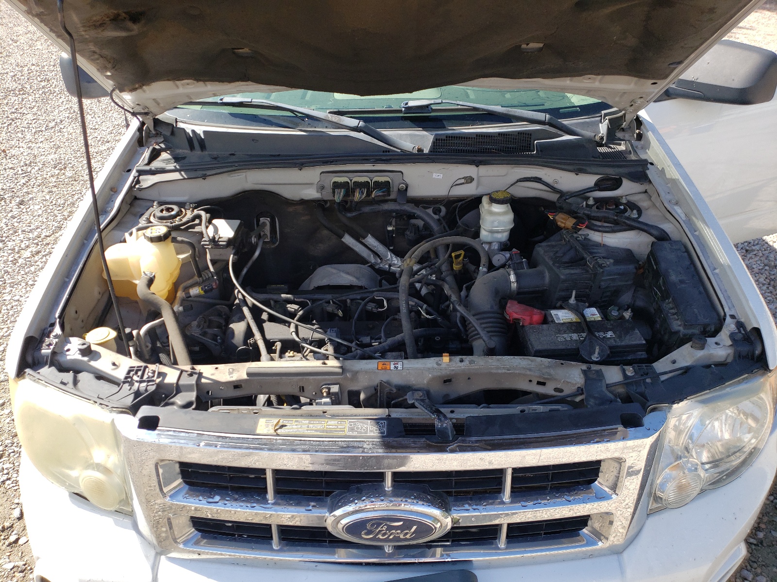Photo 7 from auction – 2008 FORD ESCAPE XLS with VIN 1FMCU02Z78KB01013