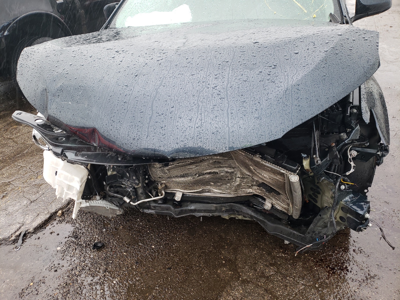 Photo 9 from auction – 2017 TOYOTA CAMRY LE with VIN 4T1BF1FK0HU715401