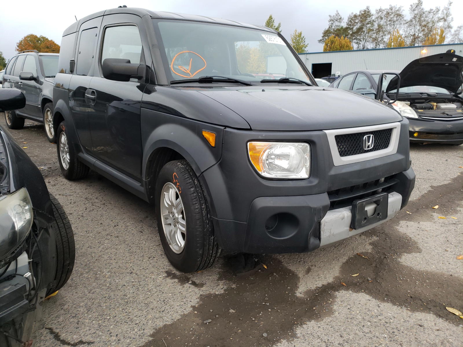 HONDA ELEMENT 2006 with VIN 5J6YH28646L012590 - Photo from auction