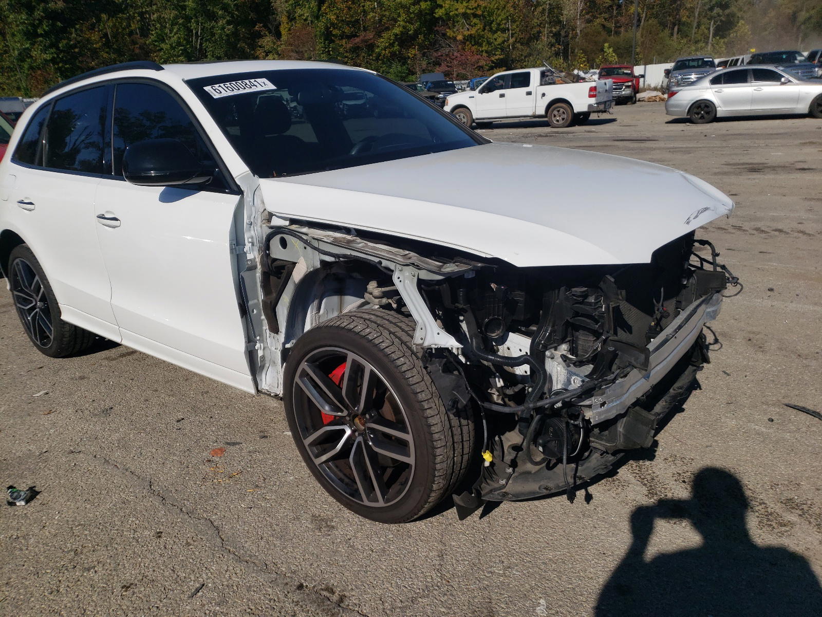 AUDI SQ5 PREMIU 2017 with VIN WA1CCAFP3HA042290 - Photo from auction
