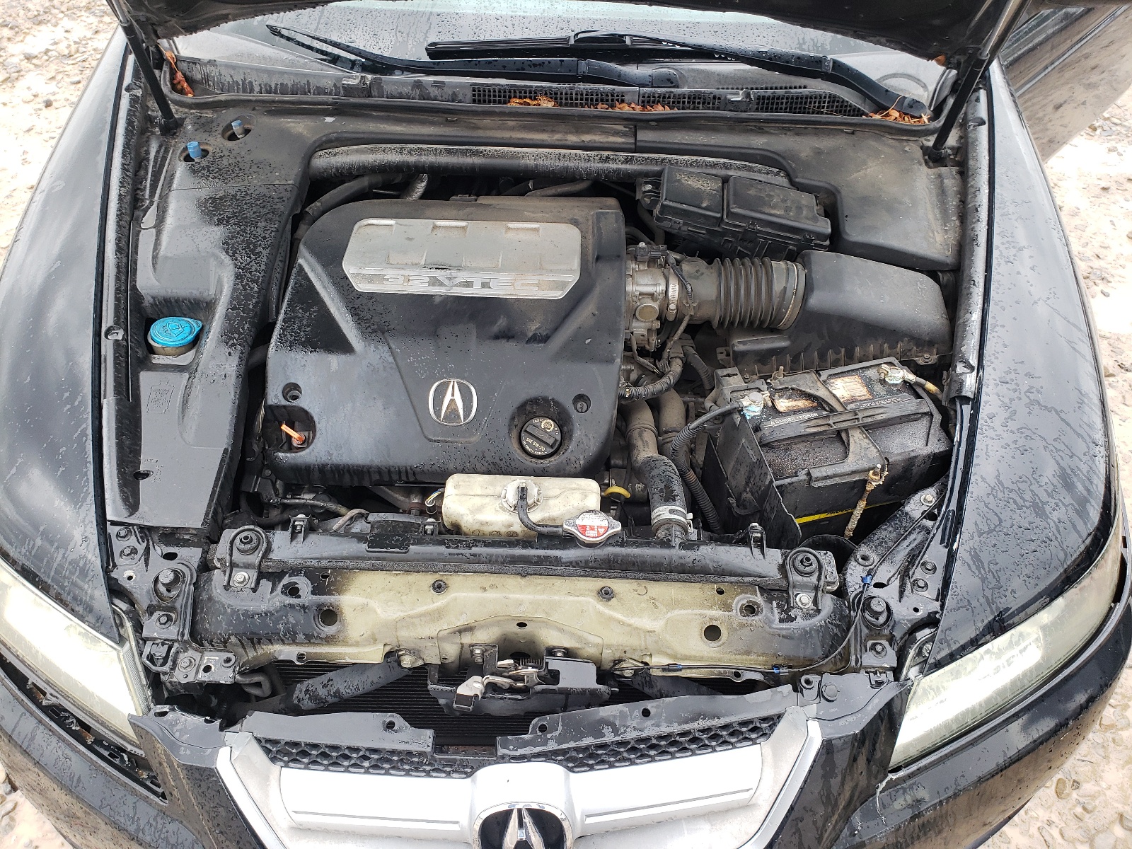 Photo 7 from auction – 2008 ACURA TL with VIN 19UUA66238A000012