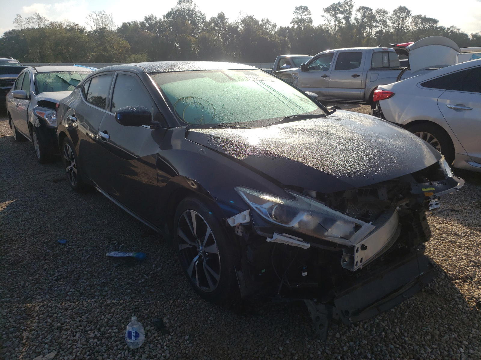NISSAN MAXIMA 3.5 2016 with VIN 1N4AA6AP3GC382152 - Photo from auction
