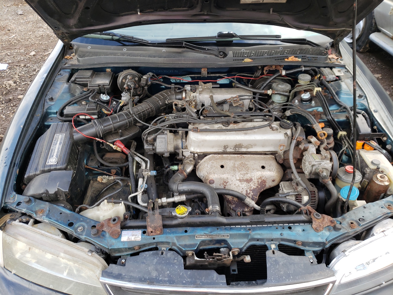 Photo 7 from auction – 1995 HONDA ACCORD LX with VIN 1HGCD5543SA083495