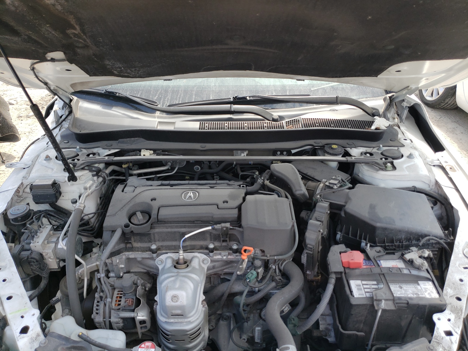 Photo 7 from auction – 2017 ACURA TLX with VIN 19UUB1F36HA001230