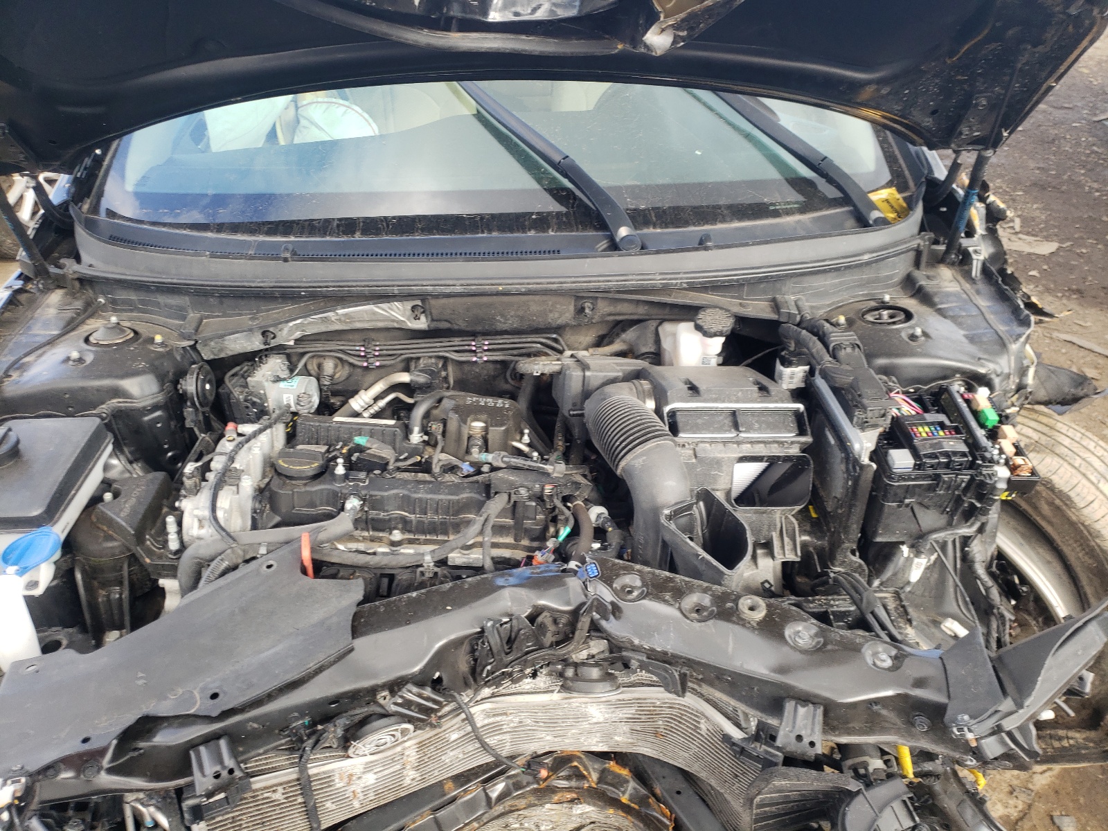 Photo 7 from auction – 2019 HYUNDAI SONATA SE with VIN 5NPE24AF0KH753026