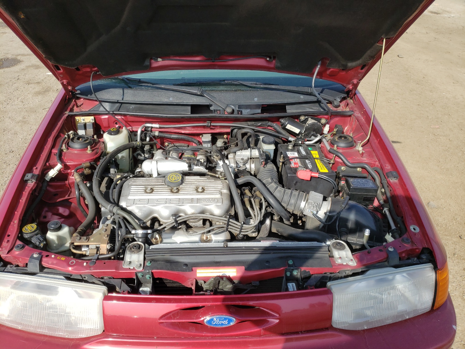 Photo 7 from auction – 1995 FORD ESCORT LX with VIN 3FASP15J9SR165145