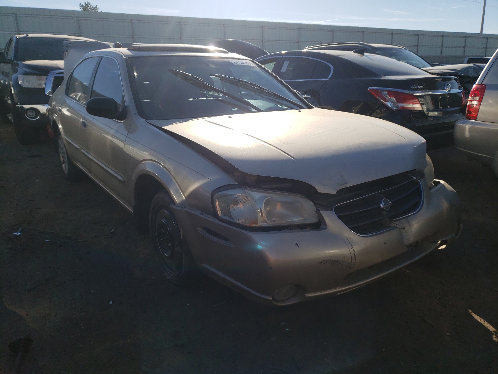 NISSAN MAXIMA GXE 2001 with VIN JN1CA31D91T810744 - Photo from auction