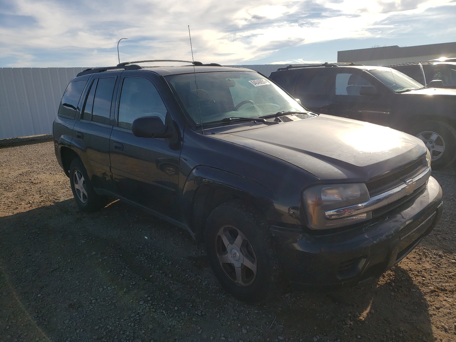 CHEVROLET TRAILBLAZE 2006 with VIN 1GNDS13S462264793 - Photo from auction