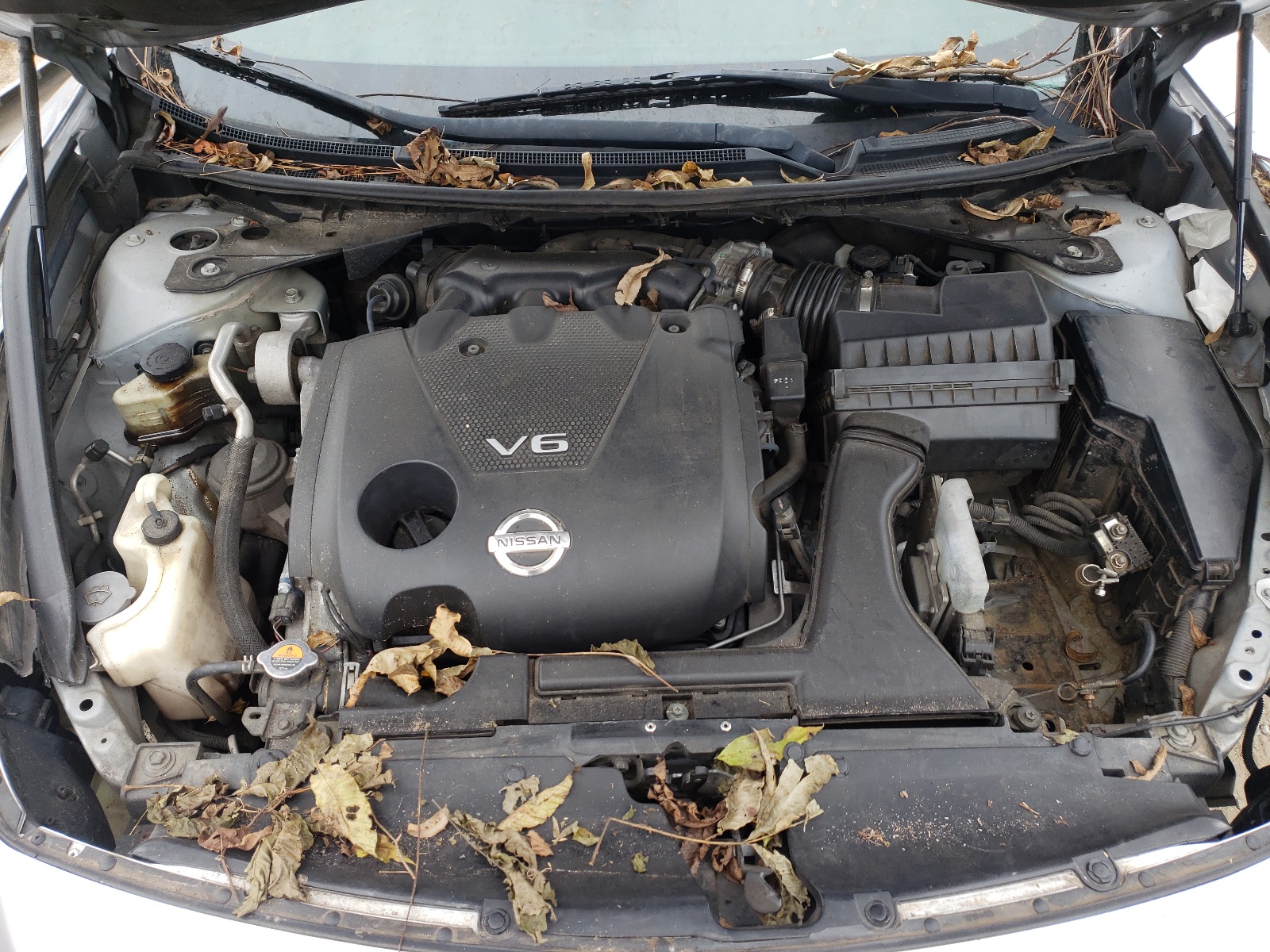 Photo 7 from auction – 2010 NISSAN MAXIMA S with VIN 1N4AA5AP6AC841708