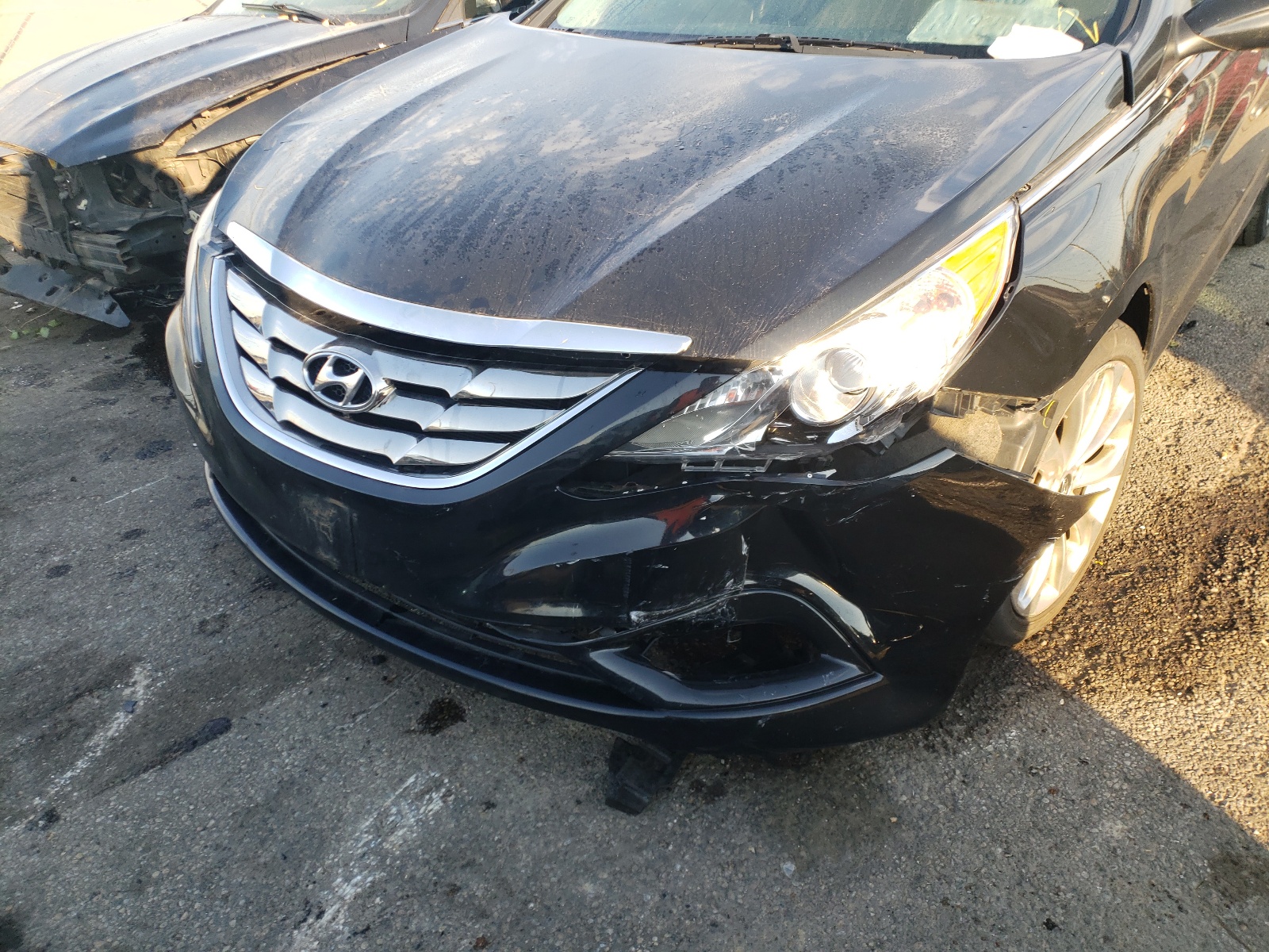 Photo 9 from auction – 2013 HYUNDAI SONATA SE with VIN 5NPEC4AC4DH658135