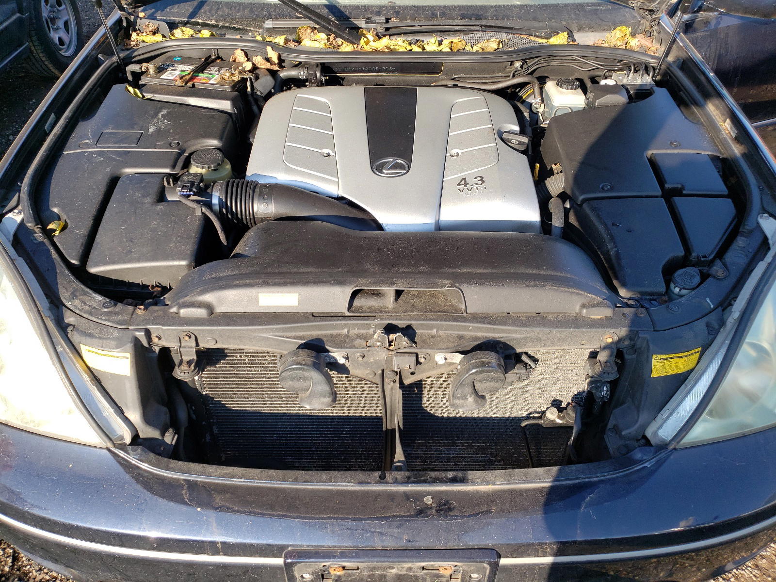 Photo 7 from auction – 2002 LEXUS LS 430 with VIN JTHBN30F920091206