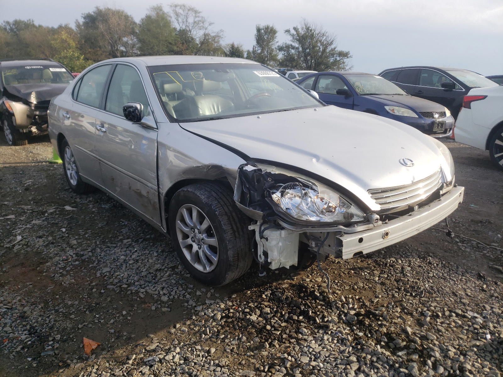 LEXUS ES 300 2002 with VIN JTHBF30G025028889 - Photo from auction