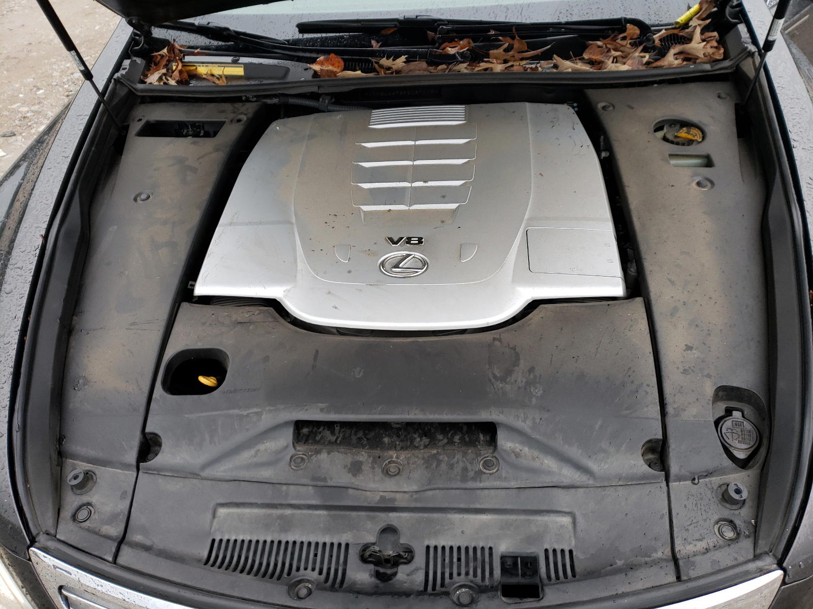 Photo 7 from auction – 2009 LEXUS LS 460 with VIN JTHBL46F895087213