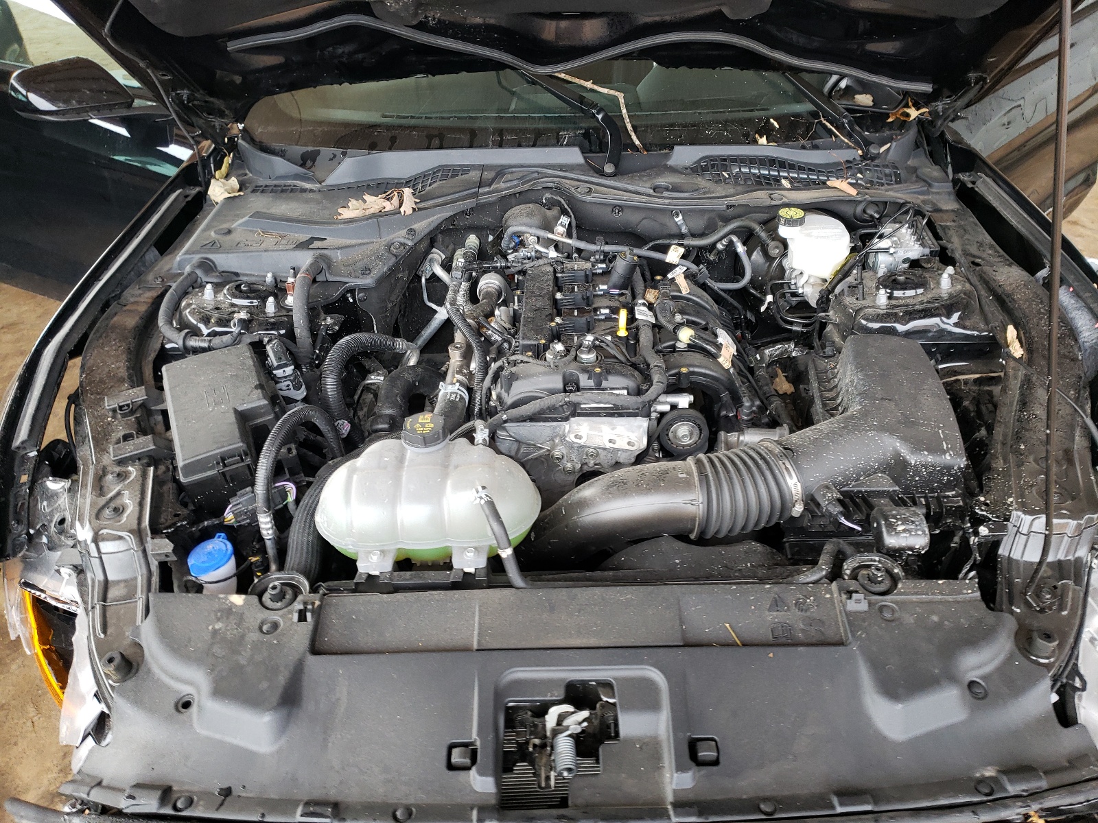 Photo 7 from auction – 2021 FORD MUSTANG with VIN 1FA6P8TH6M5119689