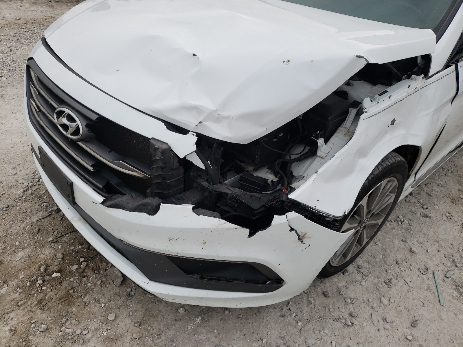 Photo 9 from auction – 2016 HYUNDAI SONATA SPO with VIN 5NPE34AF5GH335792