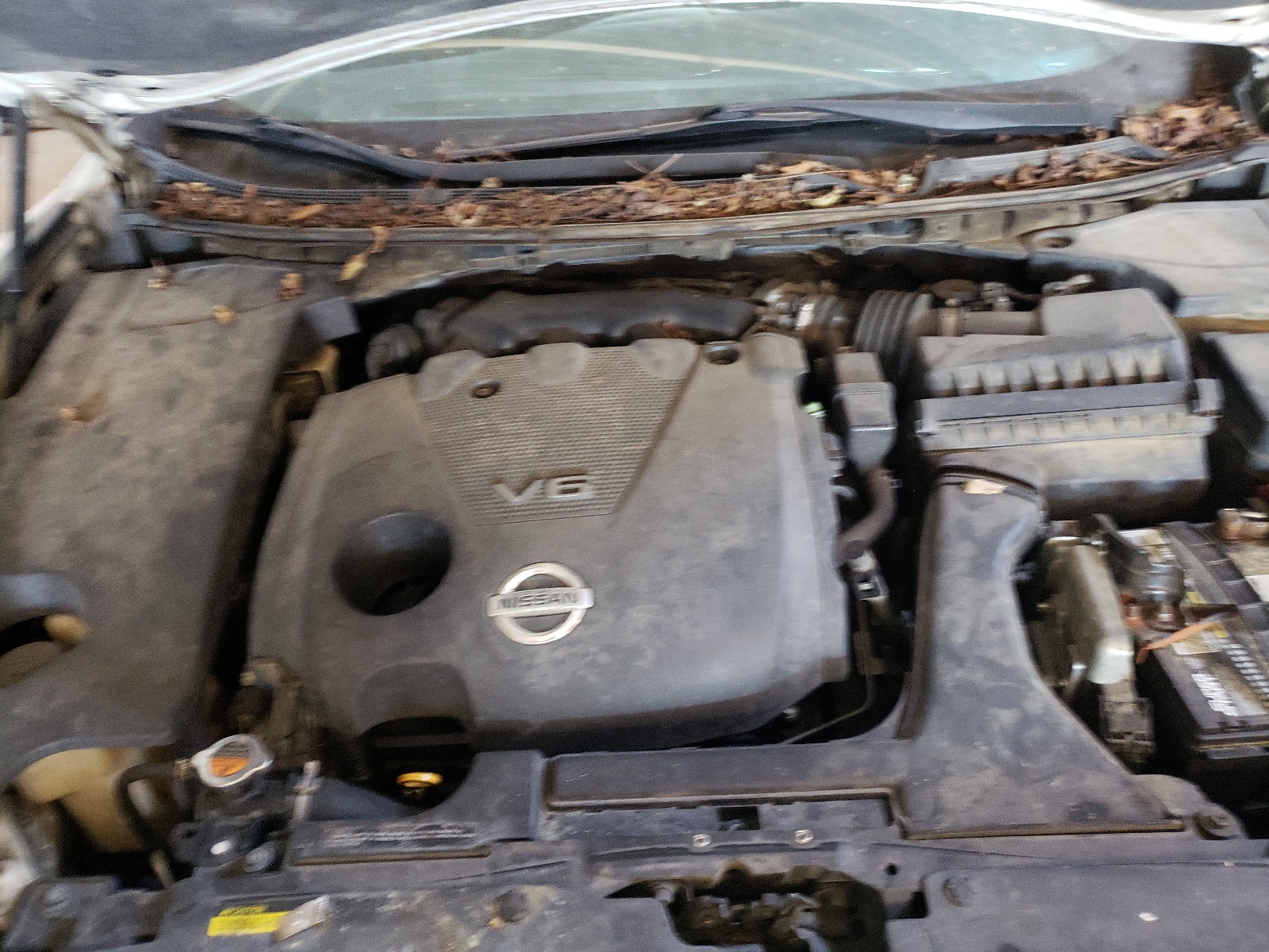 Photo 7 from auction – 2009 NISSAN MAXIMA S with VIN 1N4AA51E29C820803