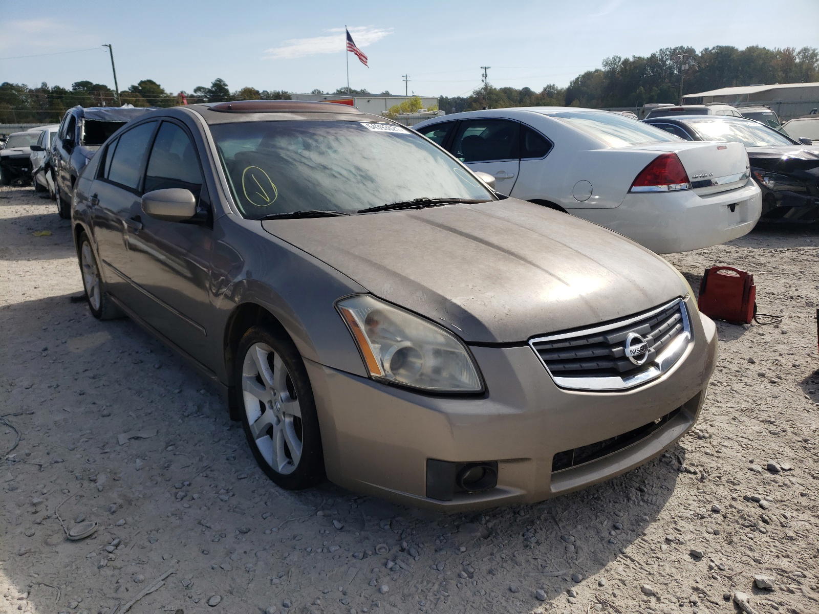 NISSAN MAXIMA SE 2008 with VIN 1N4BA41E78C800656 - Photo from auction