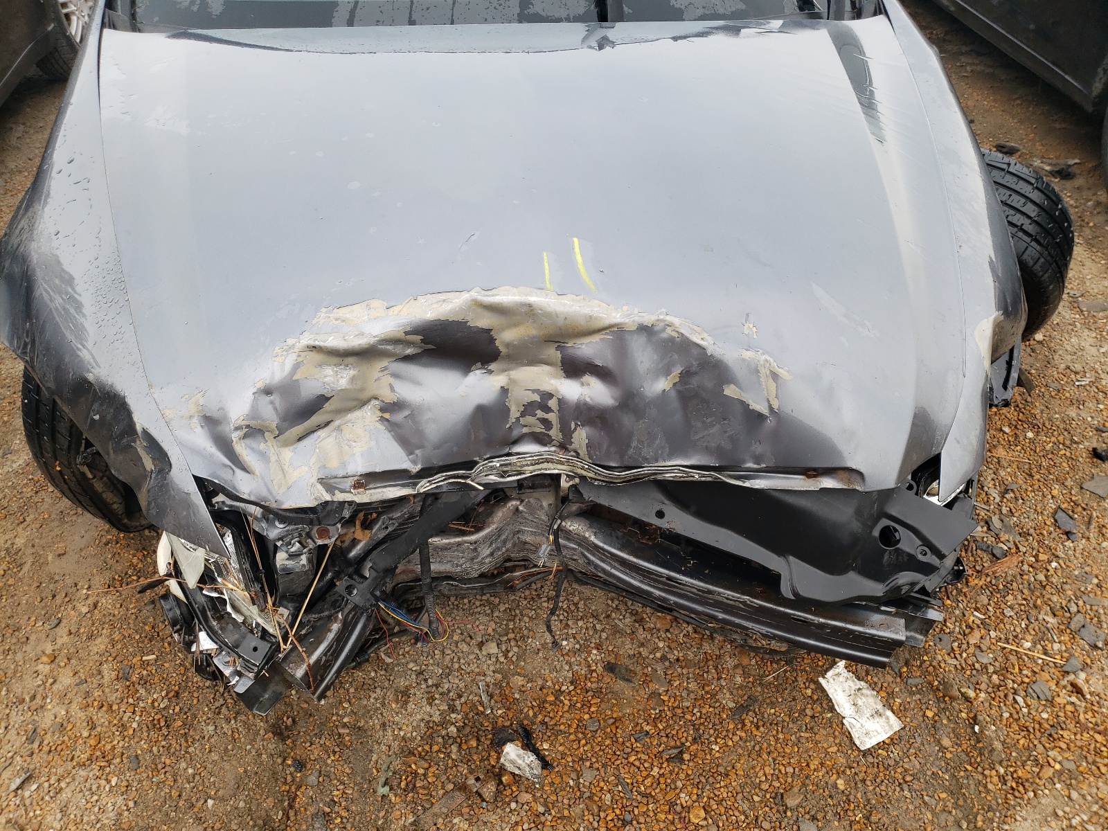 Photo 7 from auction – 2005 ACURA TL with VIN 19UUA66205A033948