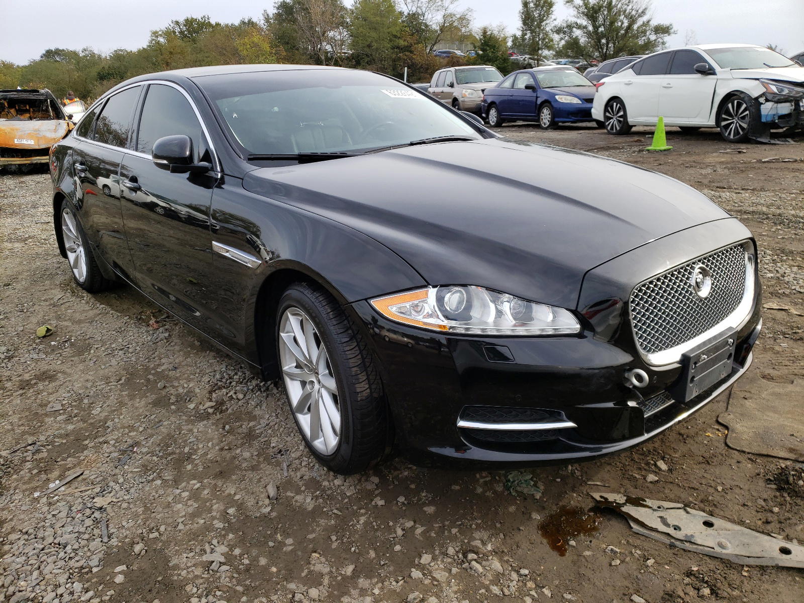 JAGUAR XJ 2013 with VIN SAJWJ1CDXD8V49547 - Photo from auction