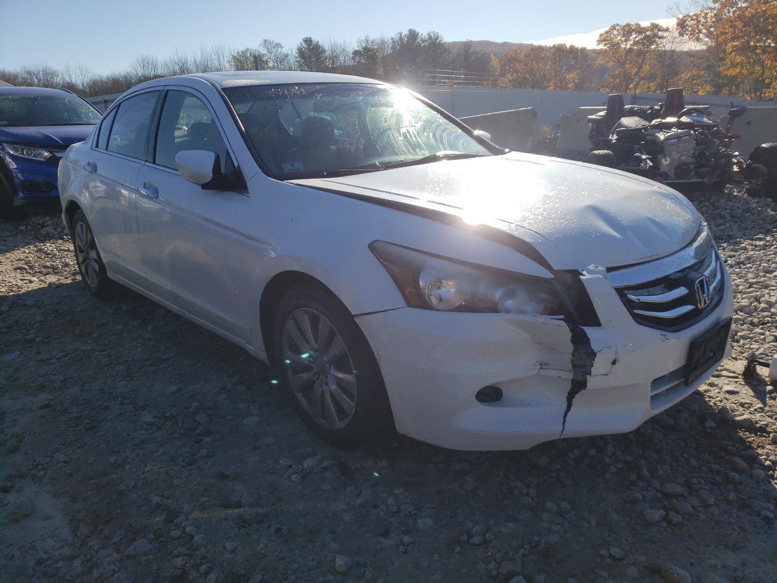 HONDA ACCORD EXL 2011 with VIN 1HGCP3F85BA032660 - Photo from auction