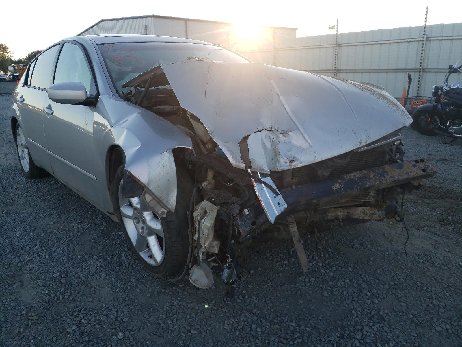NISSAN MAXIMA SE 2004 with VIN 1N4BA41E84C814754 - Photo from auction