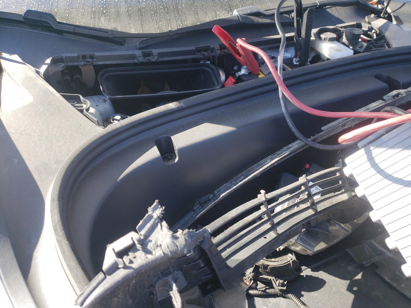 Photo 7 from auction – 2020 TESLA MODEL 3 with VIN 5YJ3E1EB7LF665062