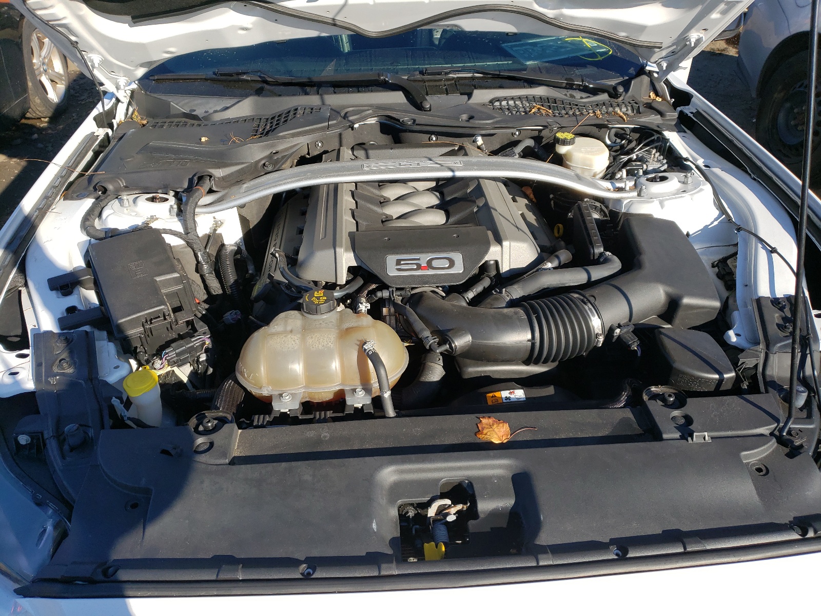 Photo 7 from auction – 2015 FORD MUSTANG GT with VIN 1FA6P8CF8F5416755
