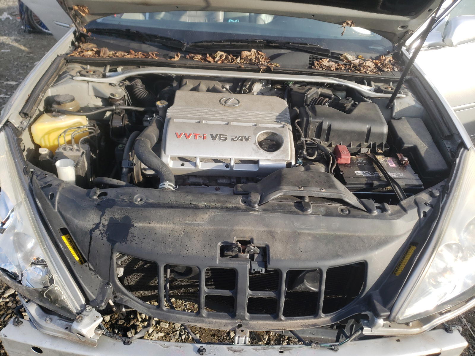 Photo 7 from auction – 2002 LEXUS ES 300 with VIN JTHBF30G025028889