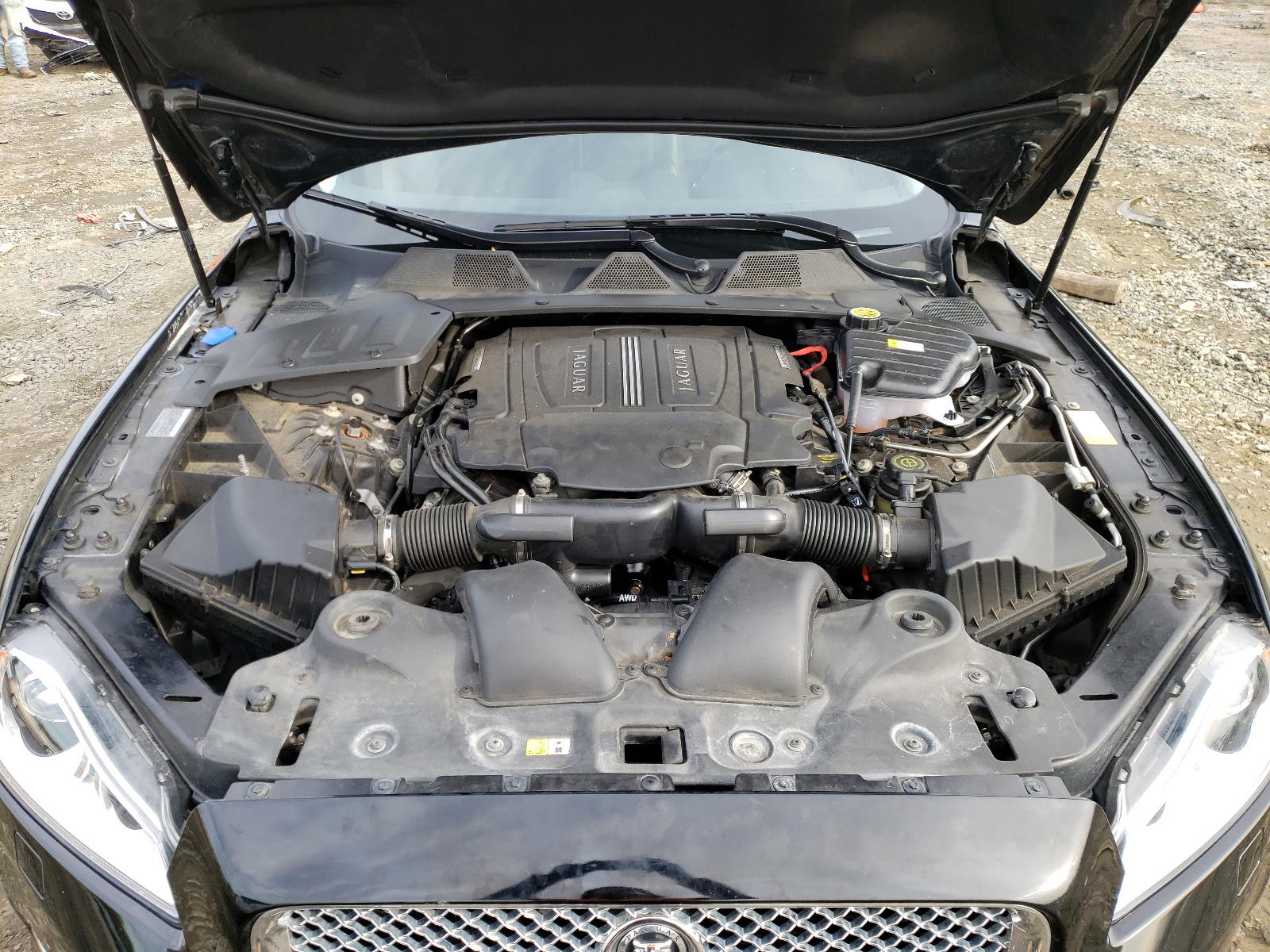 Photo 7 from auction – 2013 JAGUAR XJ with VIN SAJWJ1CDXD8V49547