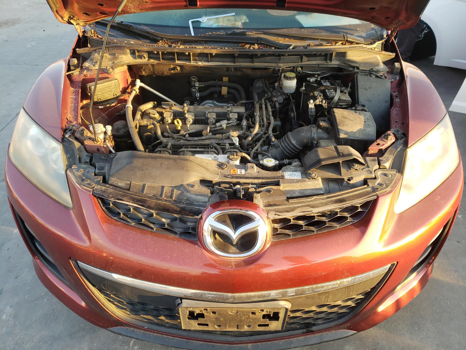Photo 12 from auction – 2011 MAZDA CX-7 with VIN JM3ER2A57B0379901