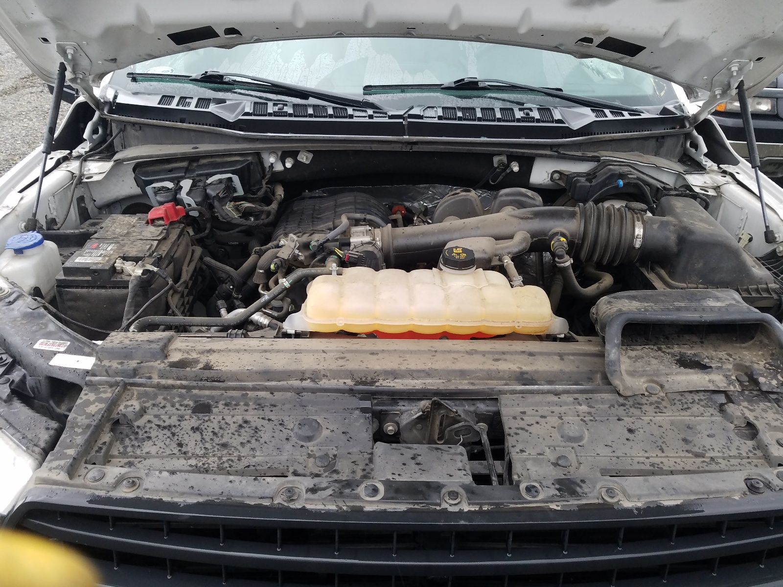 Photo 7 from auction – 2019 FORD F150 with VIN 1FTMF1EB8KKC51792