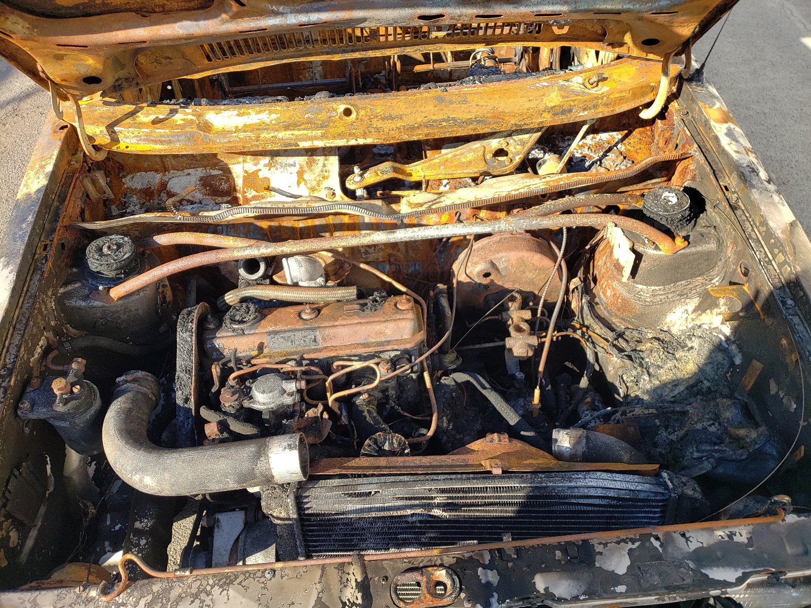 Photo 7 from auction – 1981 VOLKSWAGEN RABBIT TRU with VIN 1V1LG0179BV103