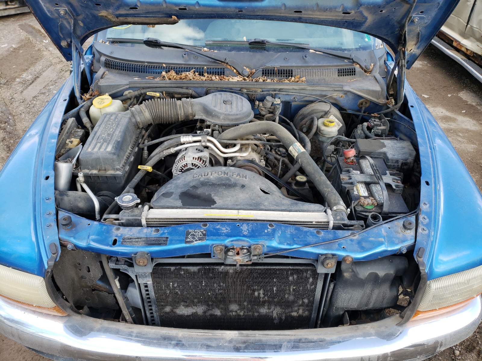 Photo 7 from auction – 1999 DODGE DAKOTA with VIN 1B7GL22XXXS279015