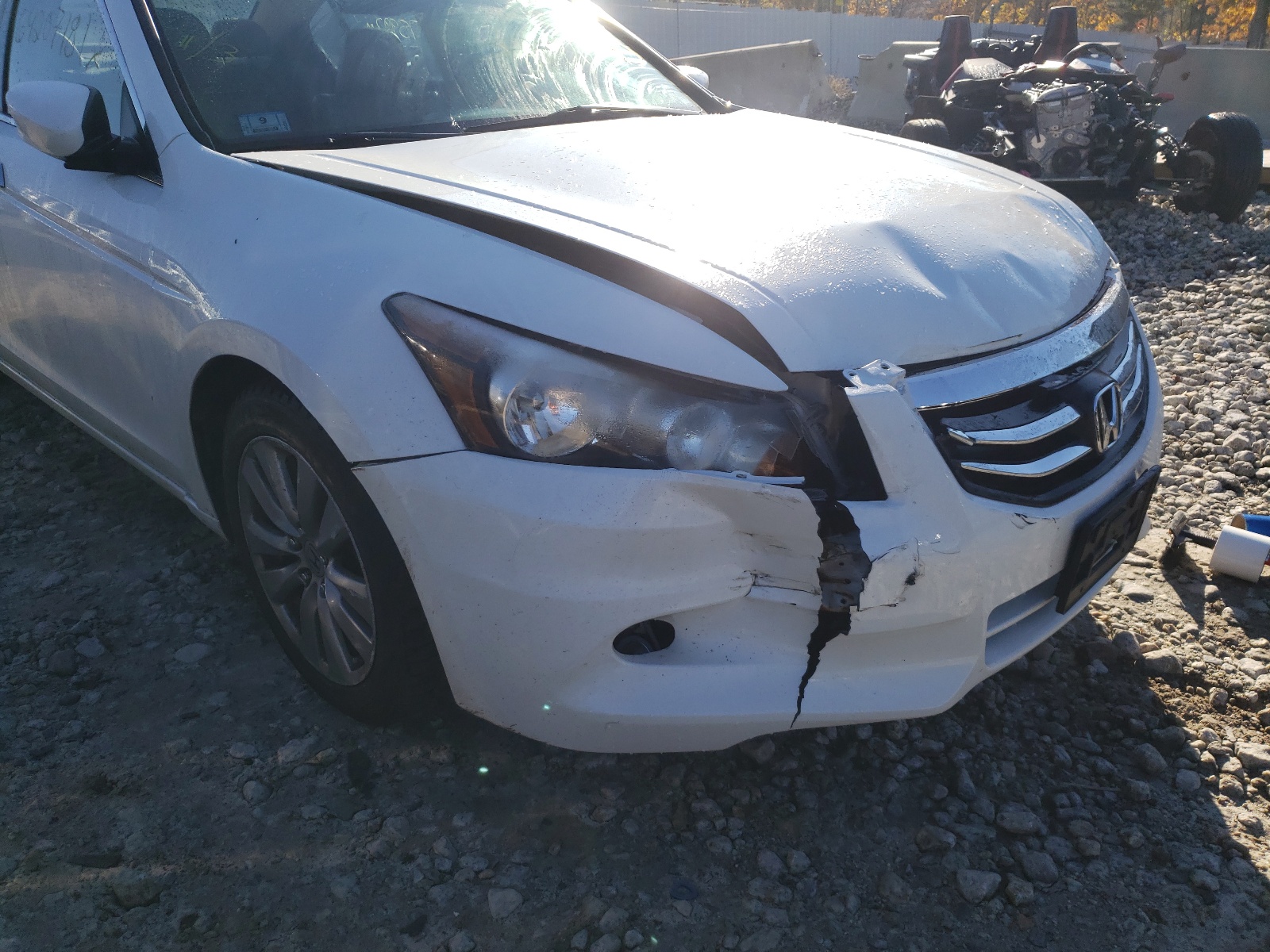 Photo 9 from auction – 2011 HONDA ACCORD EXL with VIN 1HGCP3F85BA032660