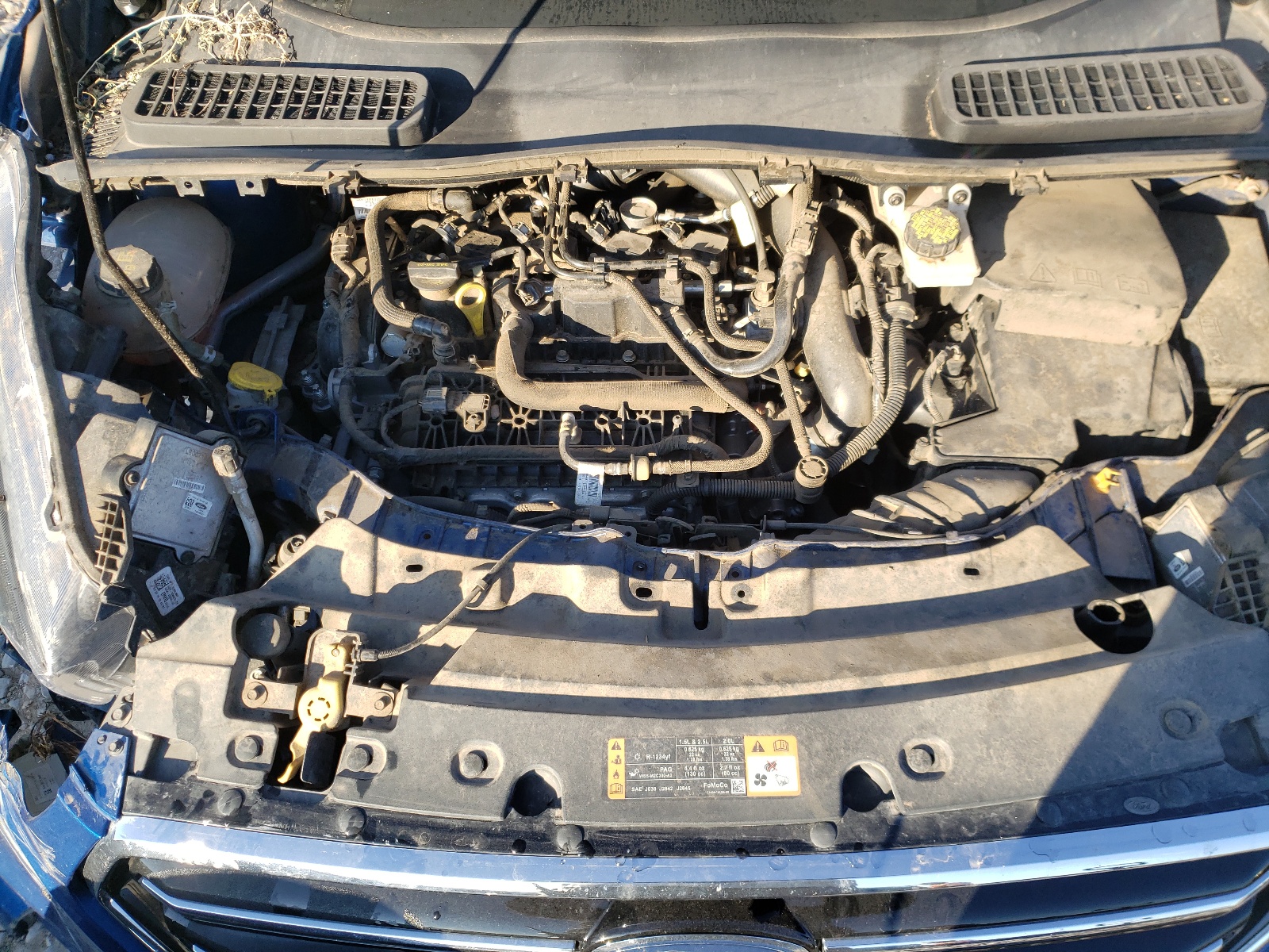 Photo 7 from auction – 2019 FORD ESCAPE SE with VIN 1FMCU0GD2KUB05317