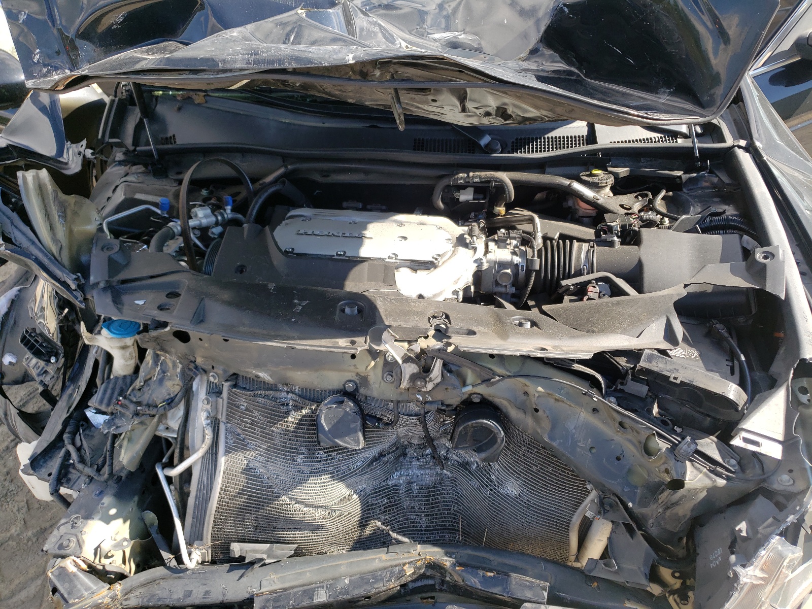 Photo 7 from auction – 2012 HONDA ACCORD EXL with VIN 1HGCP3F81CA039008