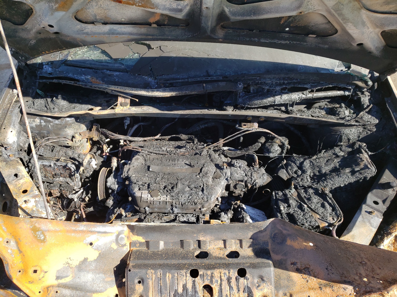 Photo 7 from auction – 2006 HONDA ODYSSEY EX with VIN 5FNRL38706B425858