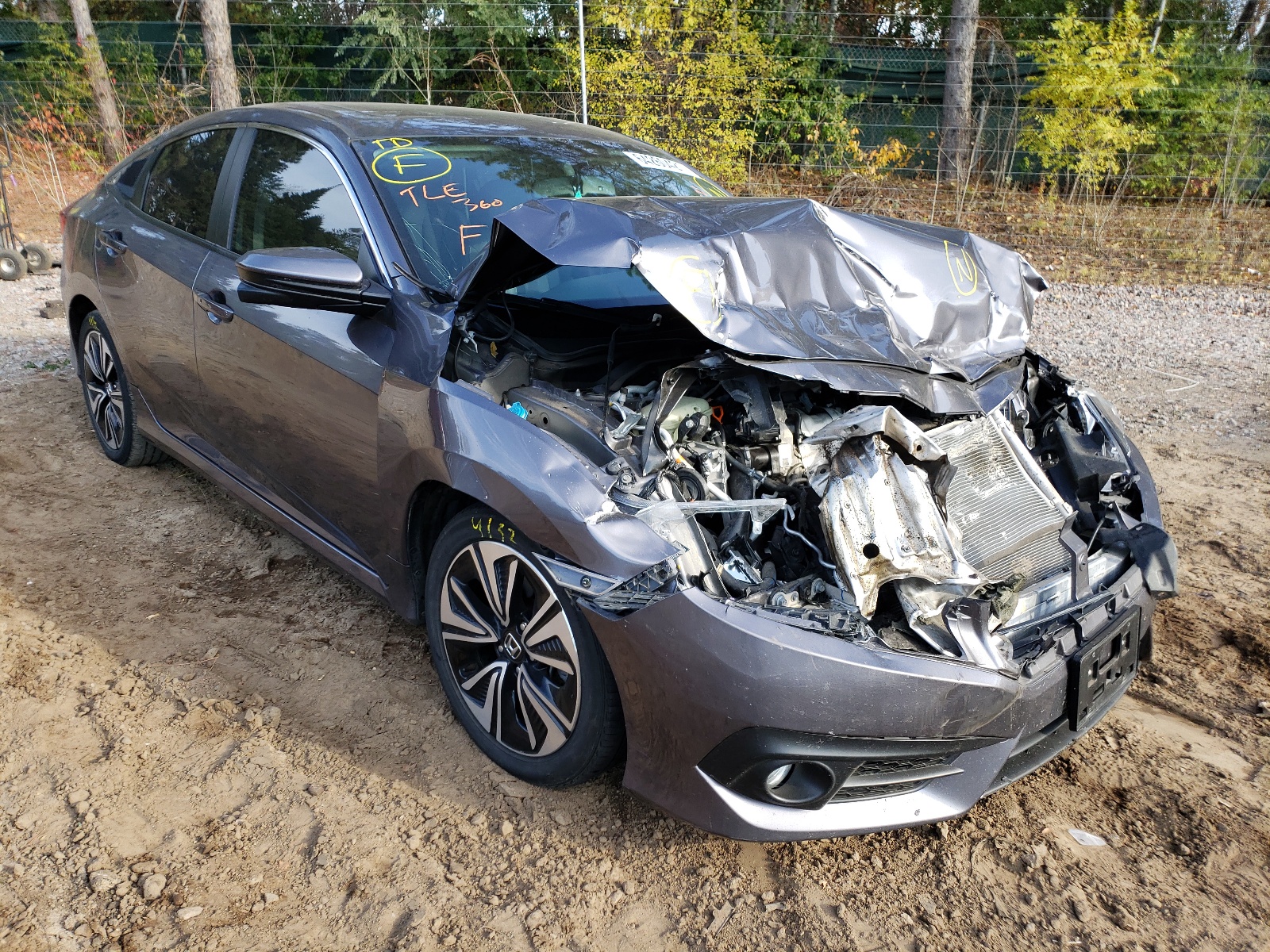 Photo 1 from auction – 2016 HONDA CIVIC EXL with VIN 19XFC1F79GE032068