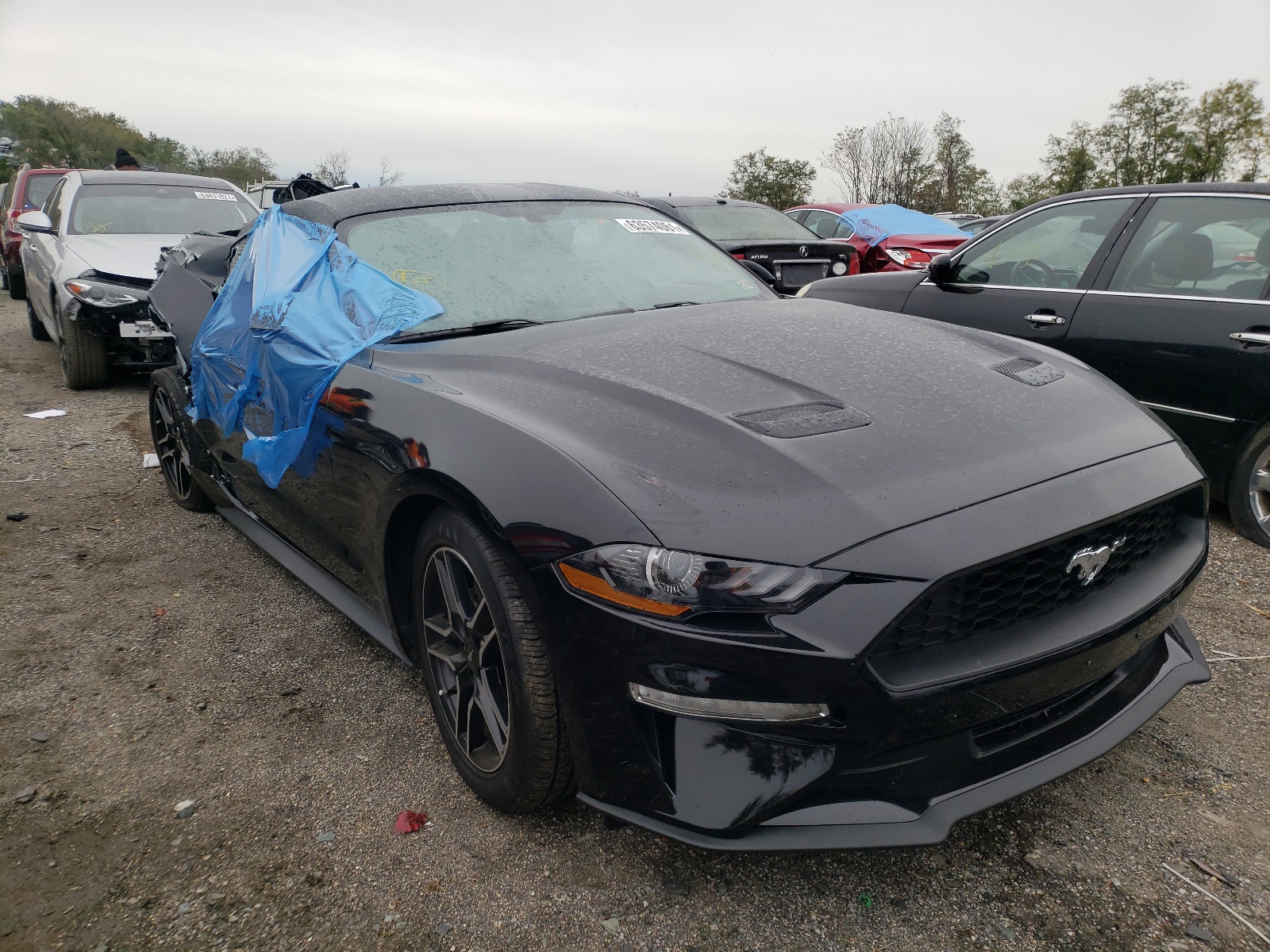 Photo 1 from auction – 2019 FORD MUSTANG with VIN 1FA6P8TH1K5133321