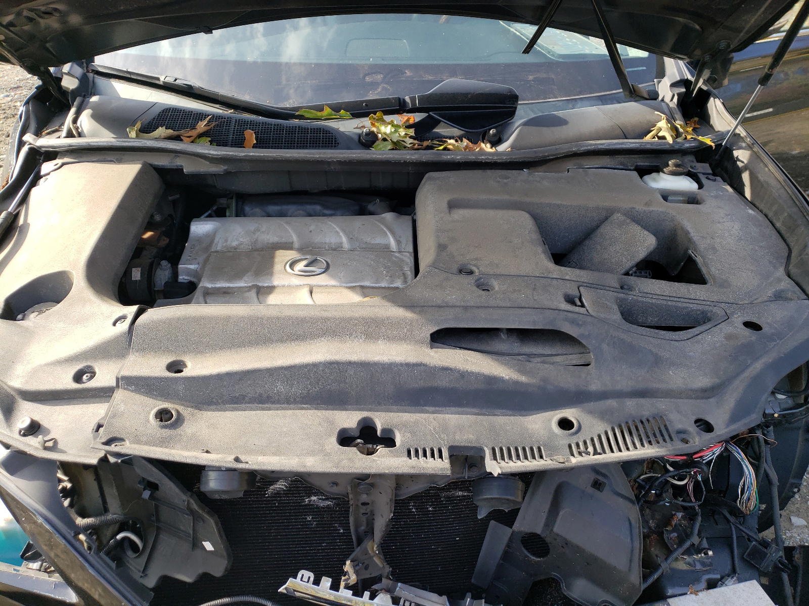Photo 7 from auction – 2011 LEXUS RX 350 with VIN 2T2BK1BAXBC080569