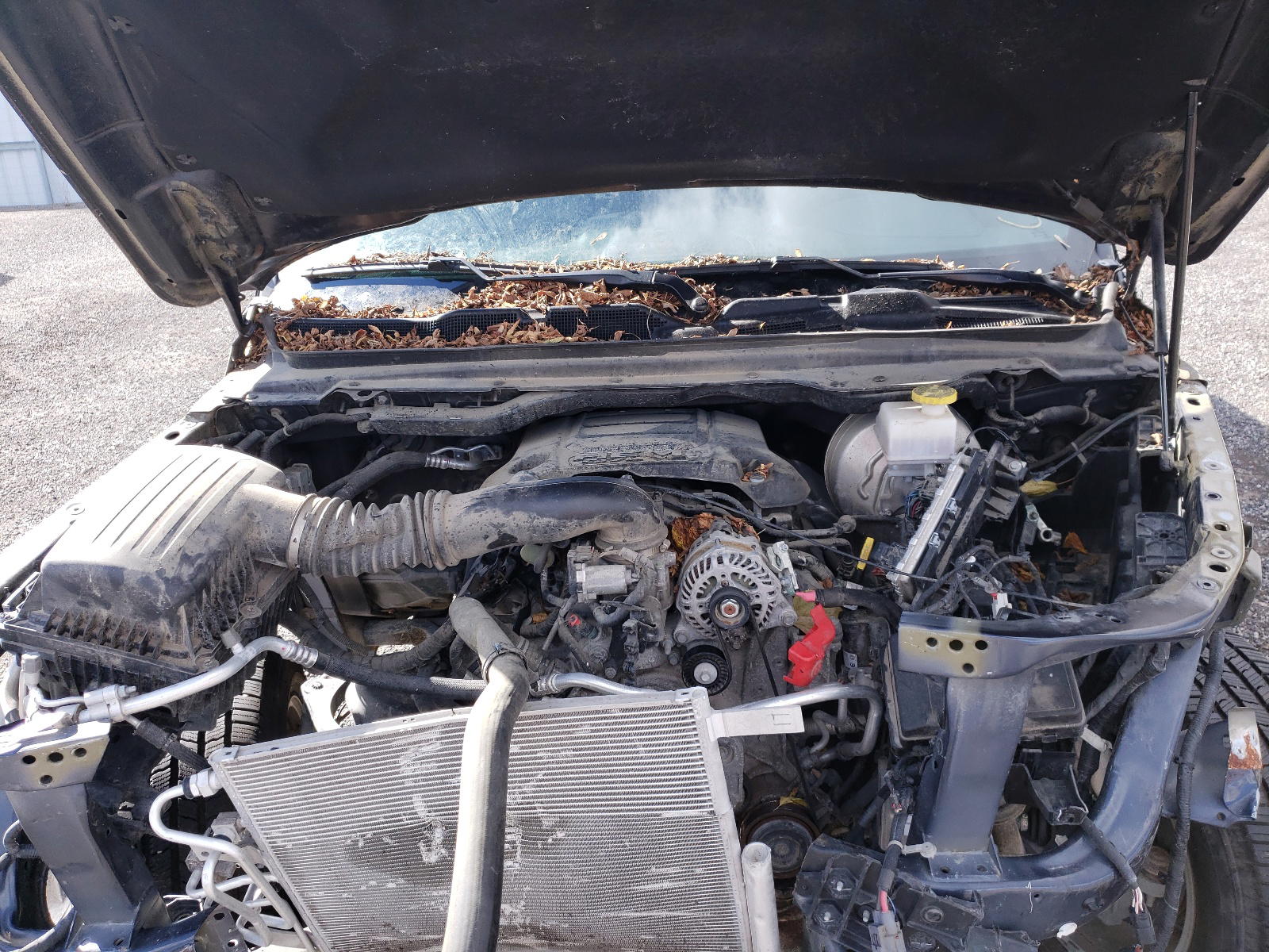 Photo 12 from auction – 2019 RAM 1500 REBEL with VIN 1C6SRFLT8KN746572